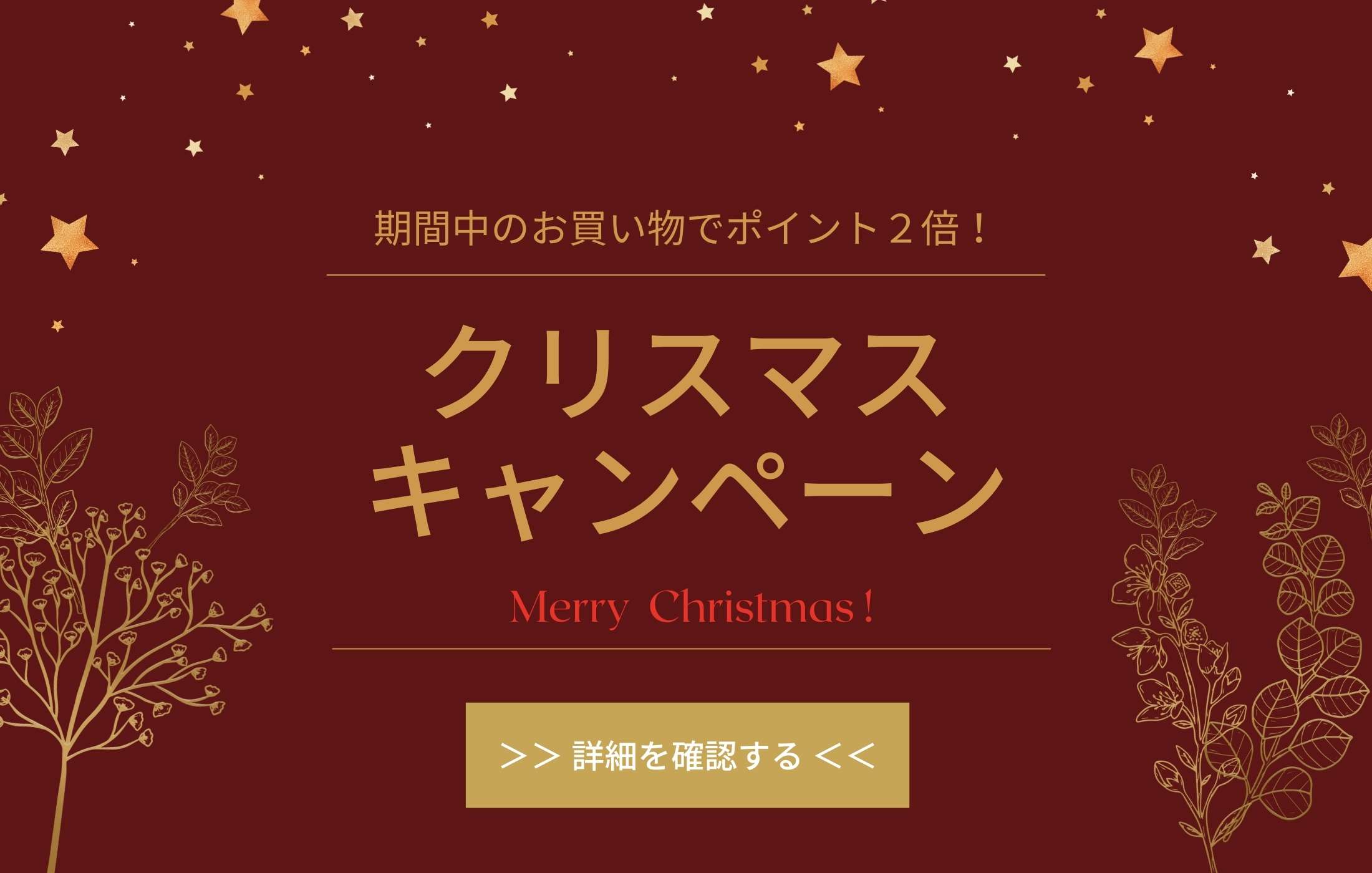 12/5よりクリスマスキャンペーン開催！